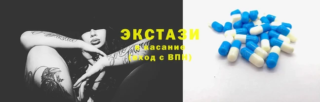 a pvp Аркадак